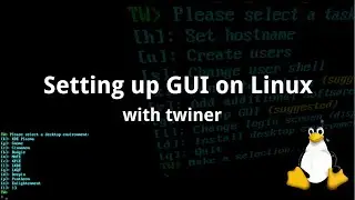 Setting up GUI on Linux with twiner