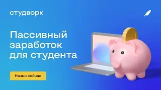 Где работать студенту – финансовая независимость и новый опыт
