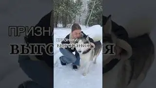 Сколько у тебя?