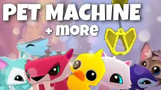 JUNE UPDATE! |NEW PET SUPPLIES| |animal jam play wild|