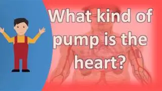 What kind of pump is the heart ?  | Health FAQS for Better Life