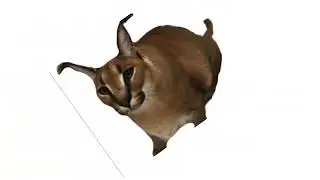 13 сентября 2022 г.
