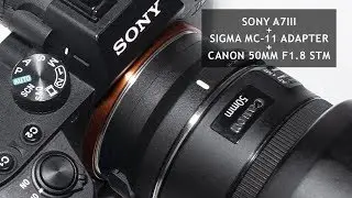 Sony A7 III  Sigma MC-11 Adapter  with Canon 50mm f1.8 Autofocus Test