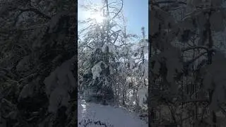 Март ты где?.