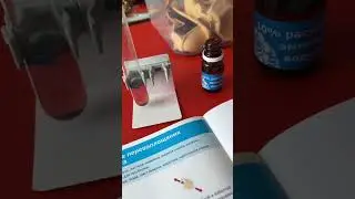 Продолжаем рубрику с опытами