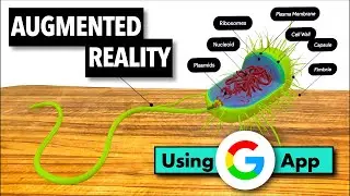 Bacteria in AR | Using Google App | Use of Augmented Reality in Education