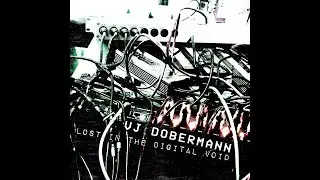 Lost In The Digital Void - VJ Dobermann