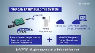 RA LoRa®-based Solution