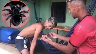PASSEI MUITO DOS LIMITES COM O BRUTINHO! FOBIA A ARANHA