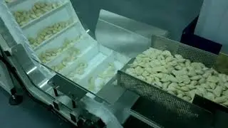 Линия упаковки пельменей в пакет