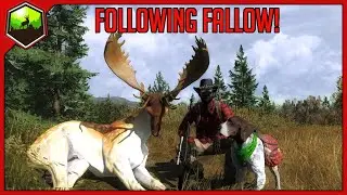 Following Fallow! | theHunter Classic
