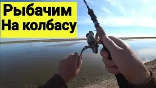 Рыбалка в Казахстане на колбасу. Сазан Карась Тараз 2021
