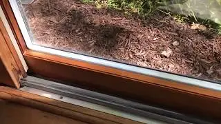 Patio Door Sash Replacement - Argo Glass and Windows