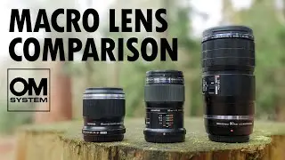 OM System Macro Lens Comparison