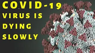 GOOD NEWS | CORONAVIRUS | VIRUS IS DYING | AT LEAST GRADUALLY