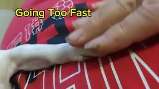Want to slow life down! - this might help #shorts
