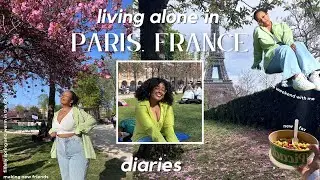 LIVING IN PARIS ALONE DIARIES | picnics, making new friends & almost getting robbed