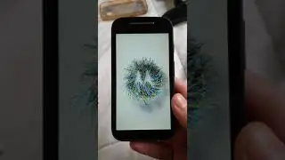 Moto E2