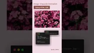 Image grayscale animation using HTML and CSS