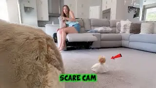 BEST SCARE CAM Priceless Reactions 2025😈