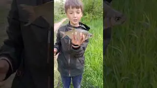 мой 