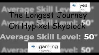 Maxing All Skills on Hypixel Skyblock