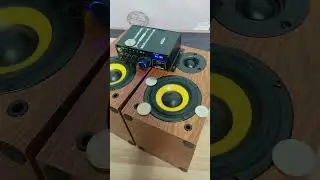 🔥SPEAKER VS COINS💣BASS TEST SUBWOOFER🔊#woopker #audio #bass #hifi #shorts #ak380 #youtubeshorts #dj