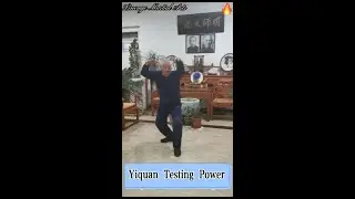 Yiquan Testing Power, Turtle out of Water #martialarts #kungfu #yiquan