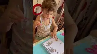 Игры развивающие тетради пиши и стирай динозавры раскраски занятия с детьми
