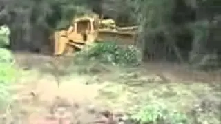 IronWolf Slasher: Tree Removal - Part 1
