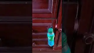 layfakt