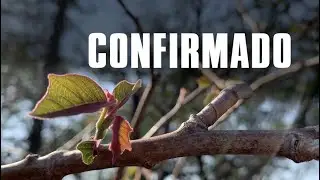 O QUE A IMPERMANÊNCIA ENSINA | NA 68