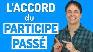 Past Participle Agreement in French Explained in 5 Minutes!