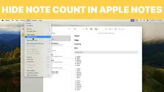 How to Hide Note Count in Apple Notes on Mac (Tutorial)