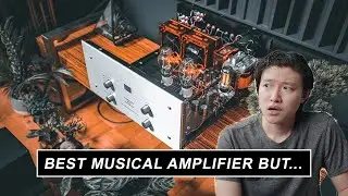 End Game Audiophile Tube Amplifier that LASTED with SOUND alone