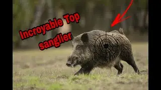 CHASSE EN BATTUE AUX SANGLIER 2023!!!