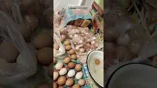 подготовка яйца к продаже