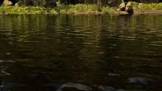 Better Light Than Never Challenge