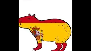 Mini capybara edit
