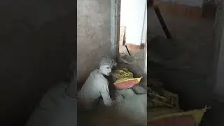 Barise ban jana#Kritikachannel#Shorts funny video