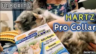 UNBOXING: HARTZ Ultraguard Pro Collar with reflector @CoastalCraftFilAm