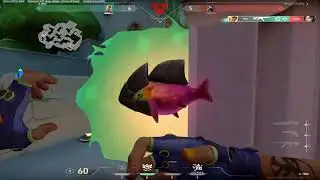 Radiant in Valorant and Global elite in csgo | Clips