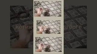 МК игрушка для кошки крючком  #crochet #knitting #вязание