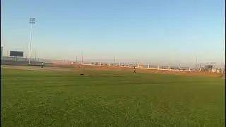 Cricket In Dubai #cricket