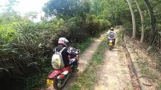 A RIDE IN THE WOODS