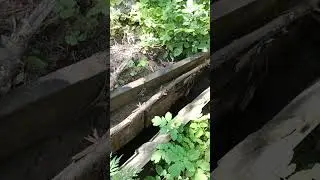 окопы войны,лето ч.2