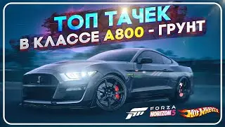 Top 10 A800 Off-Road Cars in Forza Horizon 5