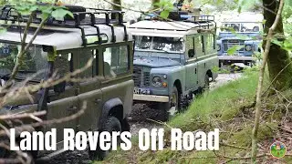Land Rovers Off Road - Strata Florida
