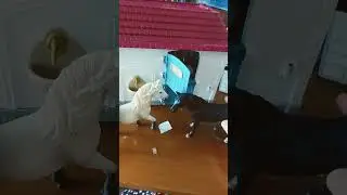 hope you enjoy 