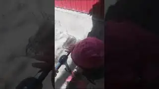 22 июля 2024 г.